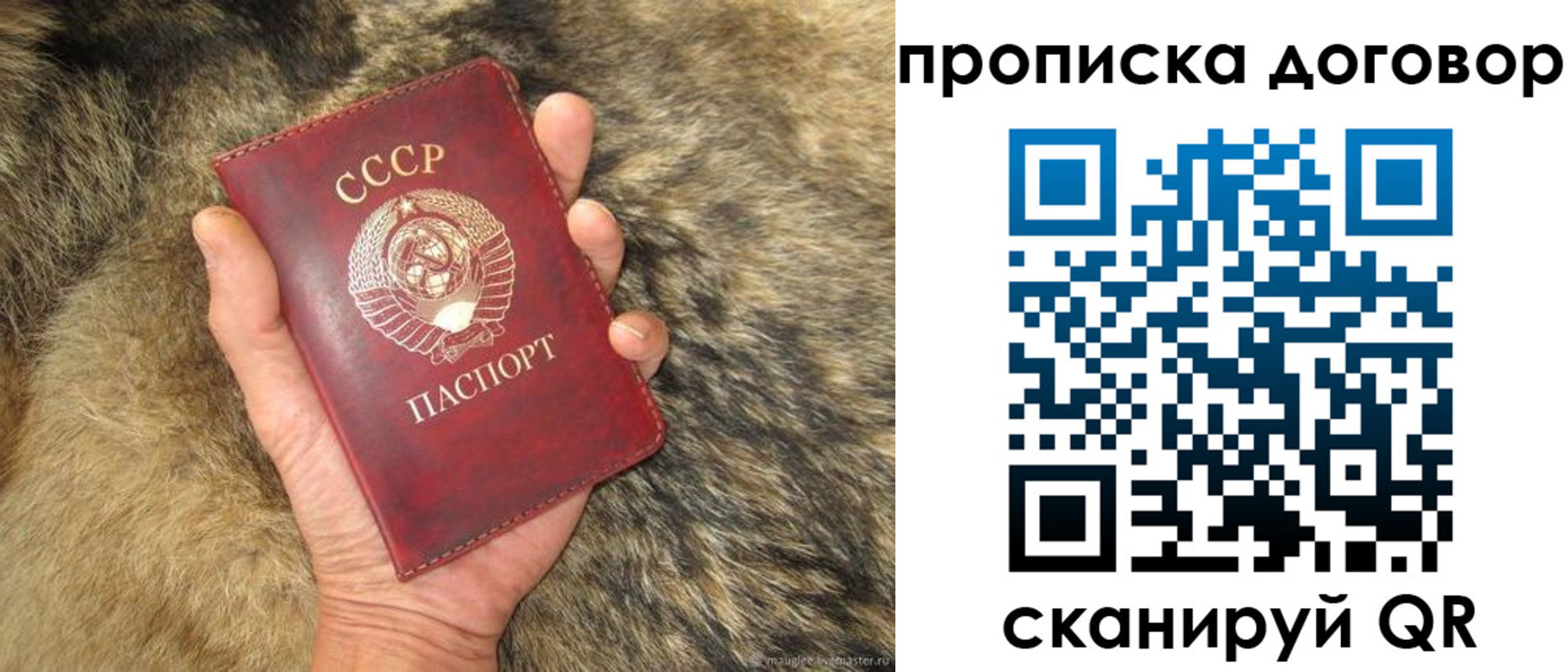 прописка регистрация в Камышлове